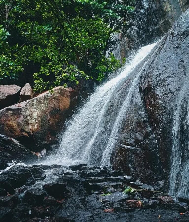 Dharapalli waterfalls